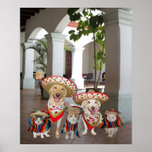 Los amigos poster
