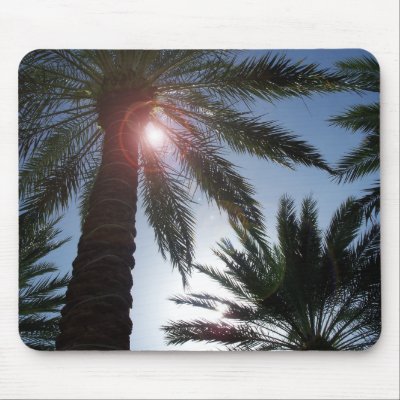 Los Angeles California Palm Tree Sunset Mousepad from Artist Rick Short : palm trees los angeles computers fine art photography computer accessories