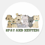 Los animales lindos Spay y neutralizan el texto Etiquetas