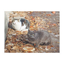 Los gatos del gatito del otoño envolvieron arte de impresion en lona