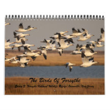 Los pájaros de Forsythe Calendario De Pared