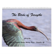 Los pájaros de Forsythe II Calendario