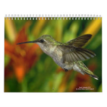 Los pájaros hacen calendarios 2011