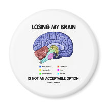 Losing My Brain Is Not An Acceptable Option Magnet