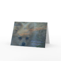 Loss of a dog. Loss of a pet. Condolences Sympathy Greeting Card