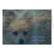 Loss of a dog. Loss of a pet. Condolences Sympathy Greeting Card