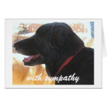Loss of Dog - Pet Sympathy Greeting Cards