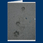 Loss of Pet Sympathy Card cards