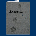 Loss of Pet Sympathy Card cards