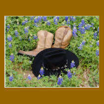 Lost Among Bluebonnets Postcard postcards
