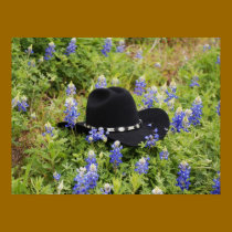 Lost Among Bluebonnets posters