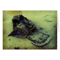 Lost Card