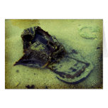 Lost cards