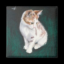 Lost cat magnet