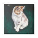 Lost cat magnet