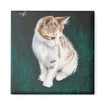 Lost cat magnet