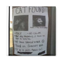 Lost Cat Magnet magnets