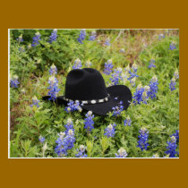 Lost Cowboy postcards