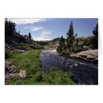 Lost Creek cards