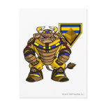Lost Desert Team Captain 1 Post Cards