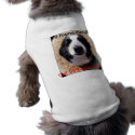 Lost Dog Clothing pet clothing