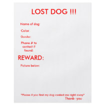 LOST DOG!!! FULL COLOR FLYER