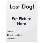 Lost Dog Flyer