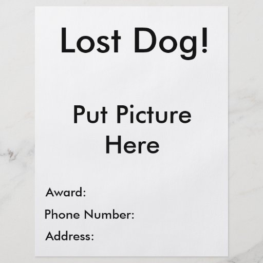 <strong>Lost</strong> Cat <strong>Template</strong> - bitsay.info Lost dog sign template