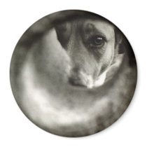 "Lost & Found" Eco Magnet