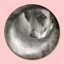 "Lost & Found" Eco Magnet