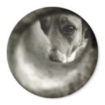 "Lost &amp; Found" Eco Magnet