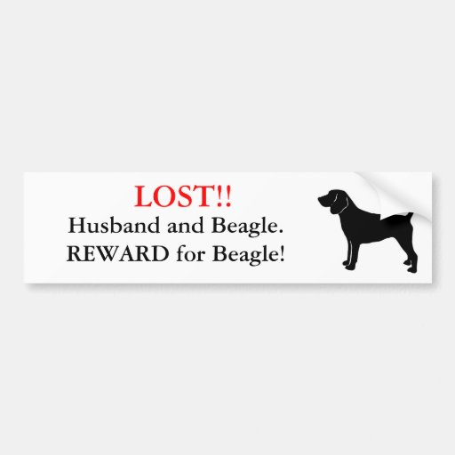 Lost Husband and Beagle. Reward! Bumper Stickers