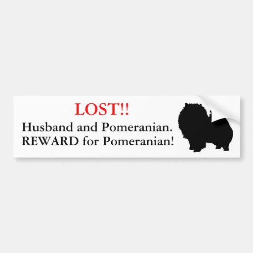 Lost Husband and Pomeranian. Reward! Bumper Stickers