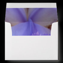 Lost in a Dream envelopes
