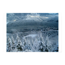 Lost in a winter wonderland posters by smvetovitz Lost in a winter wonderland posters