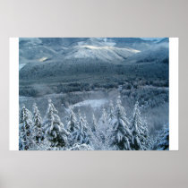 Lost in a winter wonderland posters