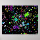 Lost in Julia Space, 2 posters