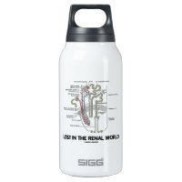 Lost In The Renal World (Kidney Nephron) 10 Oz Insulated SIGG Thermos Water Bottle