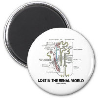 Lost In The Renal World (Kidney Nephron) 2 Inch Round Magnet