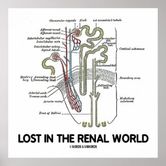 Lost In The Renal World (Kidney Nephron) Posters