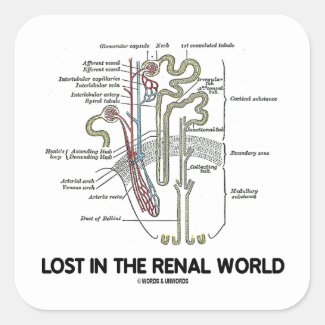 Lost In The Renal World (Kidney Nephron) Square Stickers