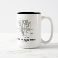 Lost In The Renal World (Kidney Nephron) Two-Tone Coffee Mug