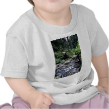 Lost Man Creek - Redwood National Park T Shirts