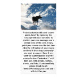 Lost Moose photo cards