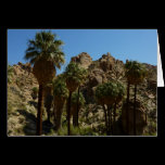 Lost Palms Oasis Card