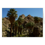 Lost Palms Oasis Card