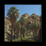 Lost Palms Oasis Magnet