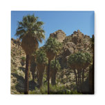 Lost Palms Oasis Magnet
