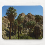 Lost Palms Oasis Mousepad