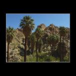 Lost Palms Oasis Postcard